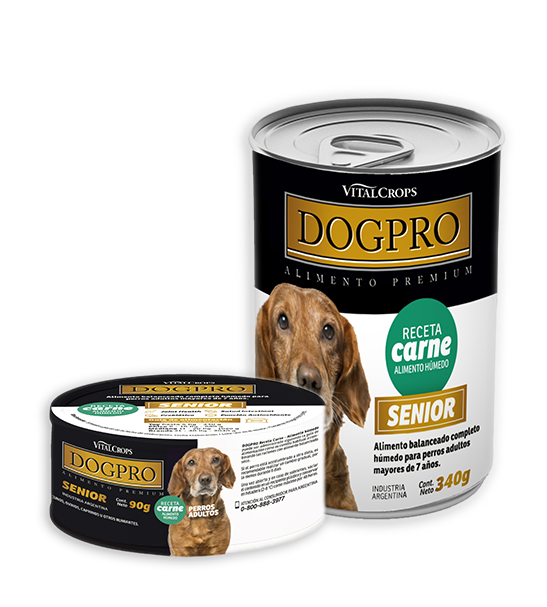 Dogpro carne humedo