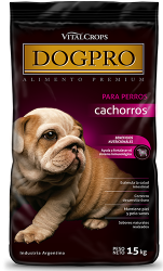 Dogpro-cachorros