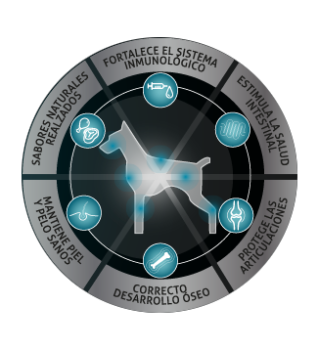 circulo.png