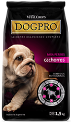 dogpro cachorros