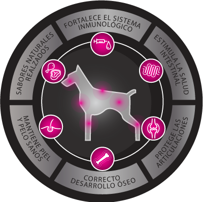 Dogpro adultos